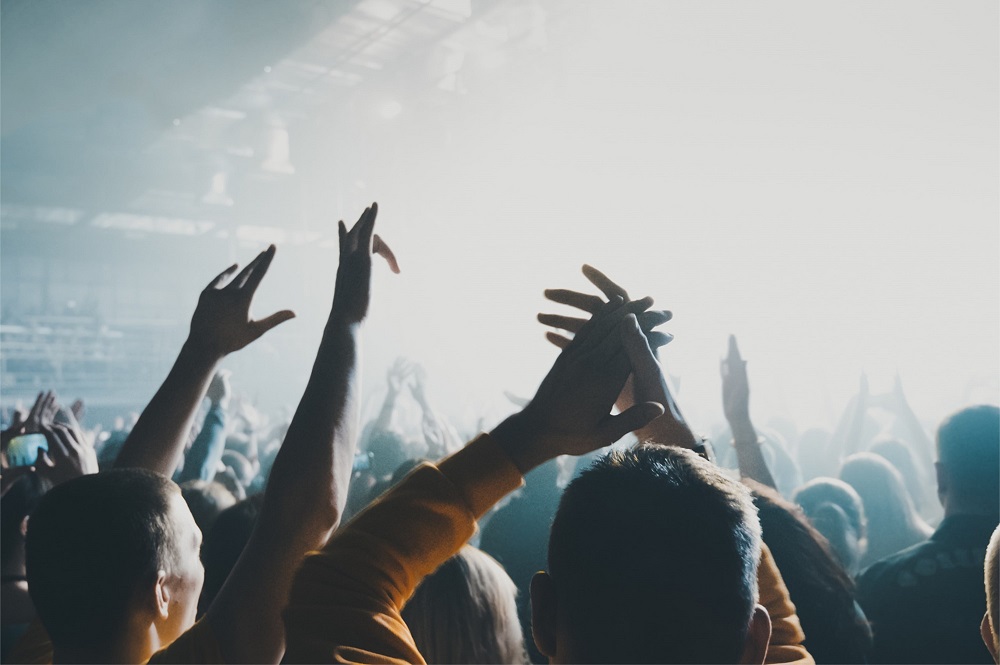 concert limo services